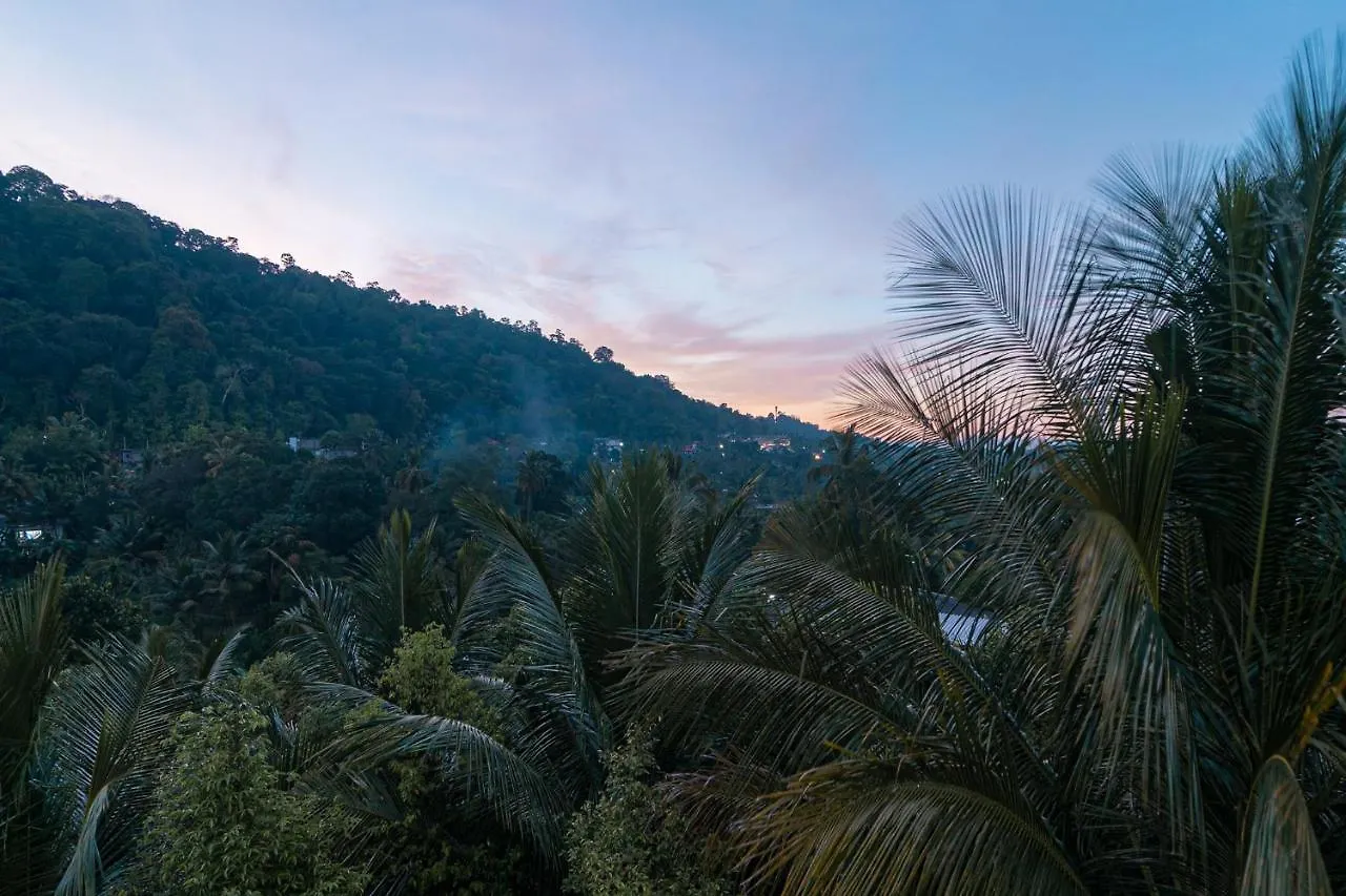 Sun Set Forest Villa Kandy